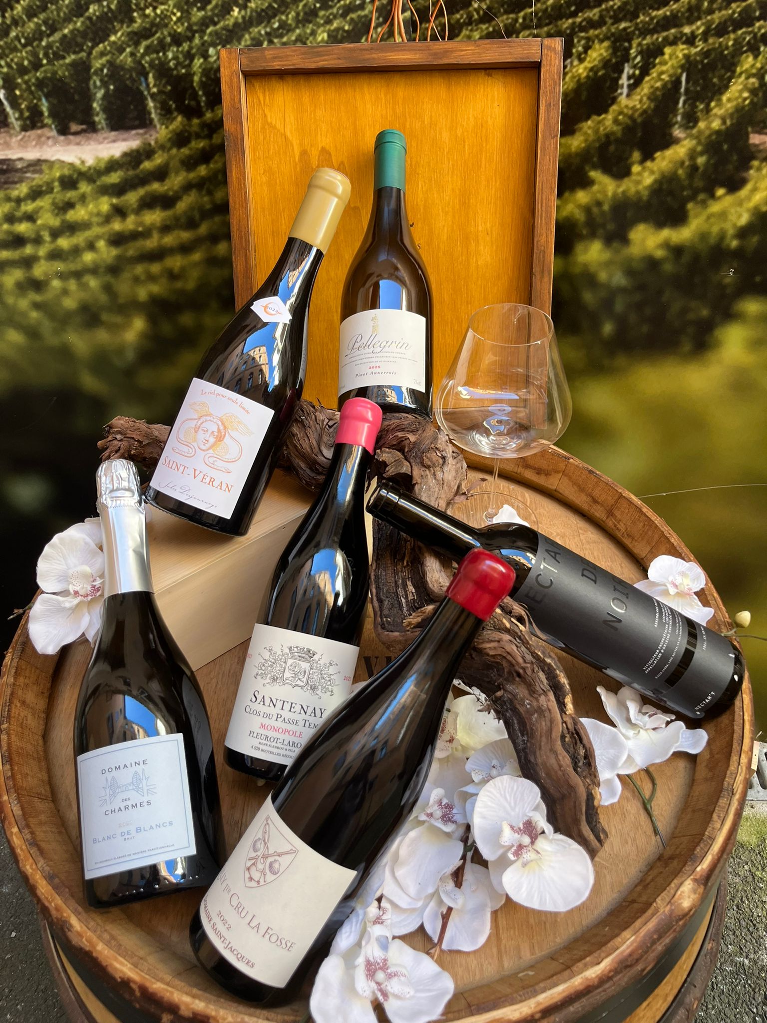 Caisse Dégustation d&rsquo;été 6 x 75 cl