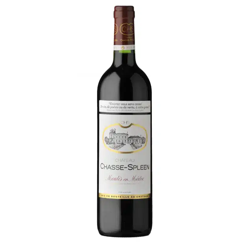 Château Chasse Spleen Moulis en Médoc 2017 75 cl